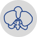 Orchid Periodontics and Dental Implants